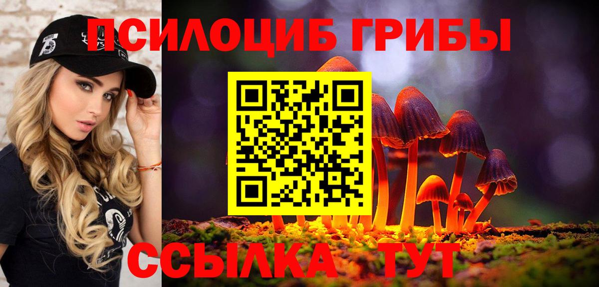 Ачхой-Мартан  Псилоцибиновые грибы Cubensis  Вход с VPN 