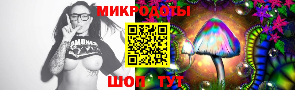 Псилоцибиновые грибы Psilocybe Ачхой-Мартан